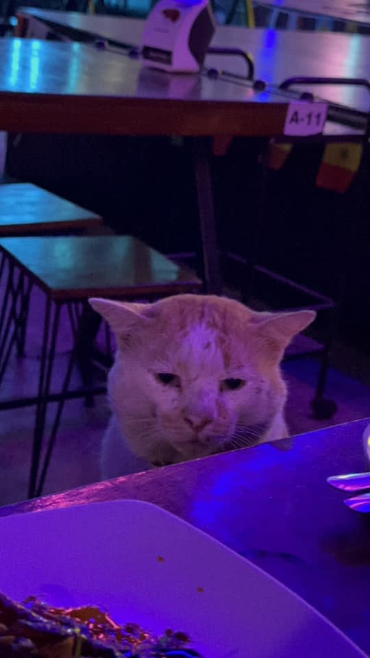 เด็กเอน