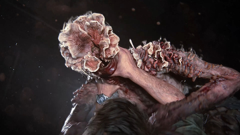 The Last of Us