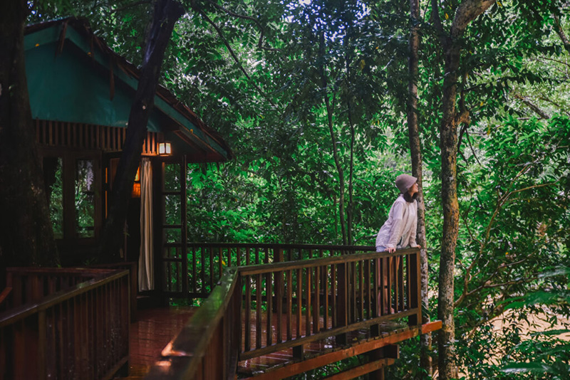 Our Jungle House ที่พักเขาสก จ.สุราษฎร์ธานี