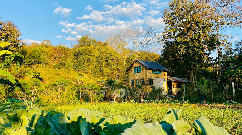 แบบบ้านสวน