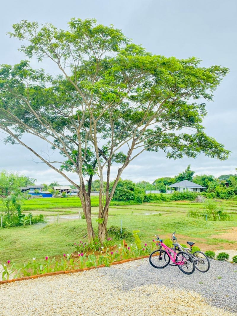 แบบบ้านสวน