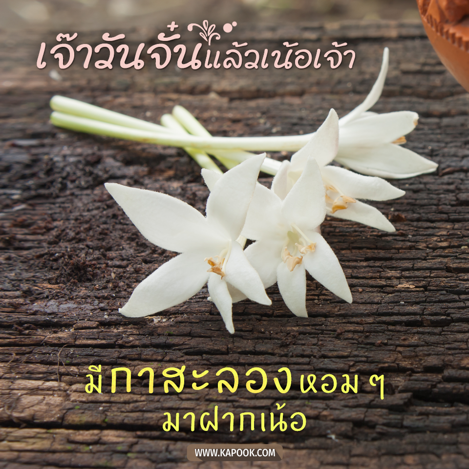สวัสดีวันจันทร์