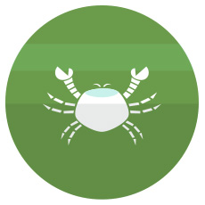 ดาวเกตุย้าย ดูดวง