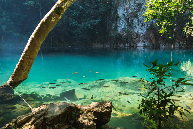 เที่ยวอุทยานแห่งชาติ