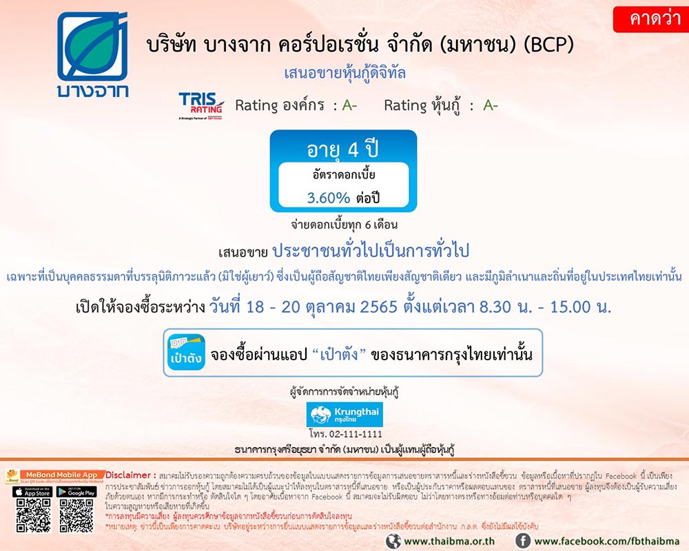 หุ้นกู้