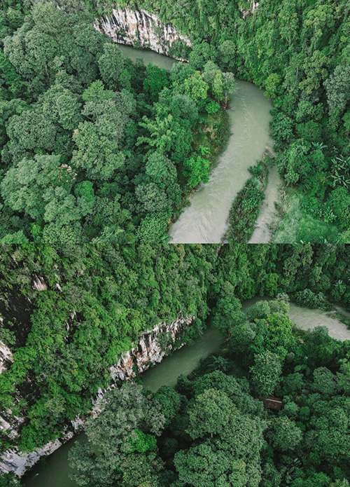 Our Jungle House ที่พักเขาสก จ.สุราษฎร์ธานี