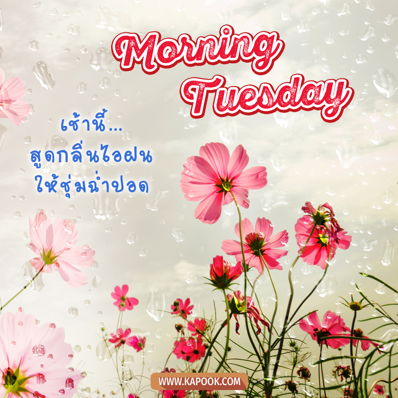 รายการ 103+ ภาพพื้นหลัง ภาพทักทายวันอังคาร สวยมาก