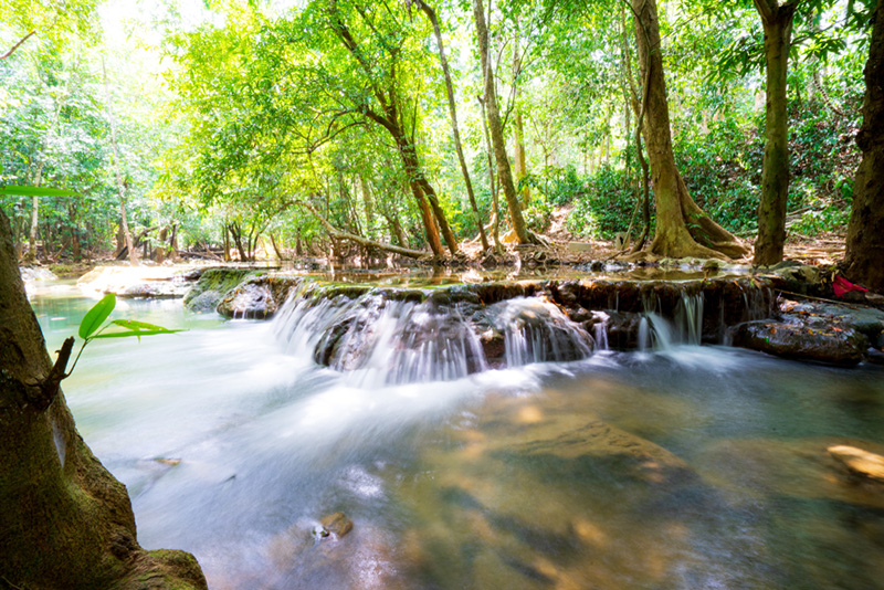 เที่ยวอุทยานแห่งชาติ