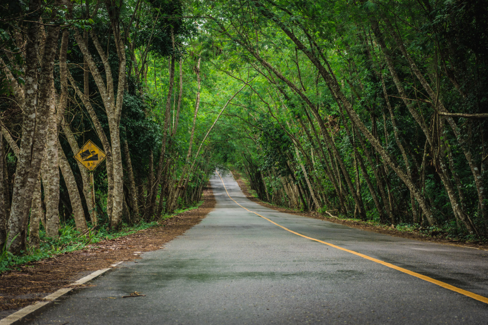 เขาพะเนินทุ่ง
