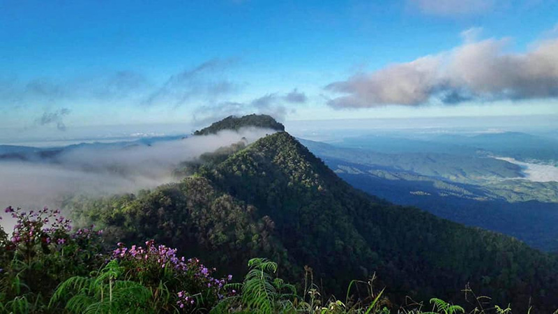 เที่ยวอุทยานแห่งชาติ