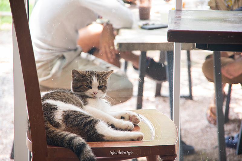 Siree Patisserie คาเฟ่ราชบุรี