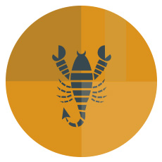 ดาวเกตุย้าย ดูดวง