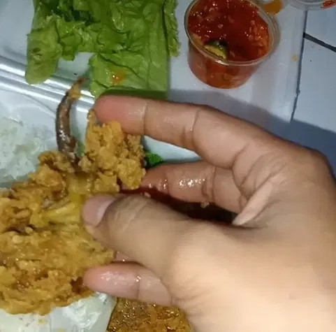 ข้าวกล่อง