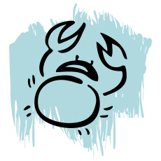 ดาวอาทิตย์ย้าย ดูดวง