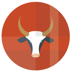 ดาวเกตุย้าย ดูดวง