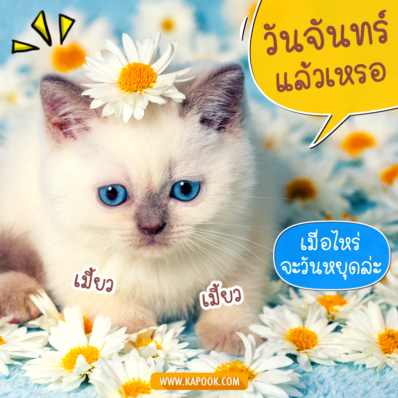สวัสดีวันจันทร์
