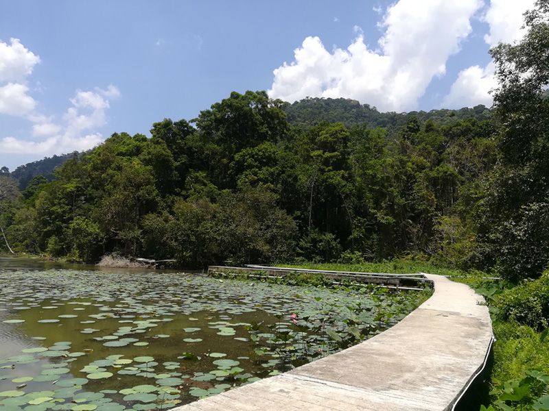 เที่ยวอุทยานแห่งชาติ