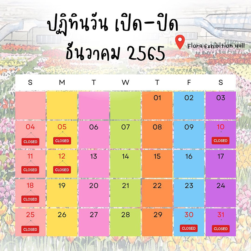 ฟาร์มดอกไม้เมืองหนาวระยอง