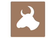 ฤกษ์ประจบเทวดา