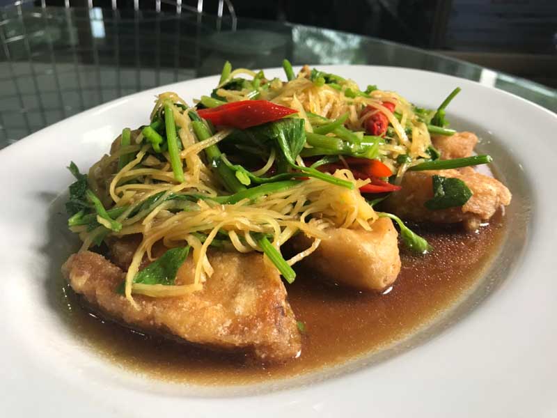 ไข่ปลา