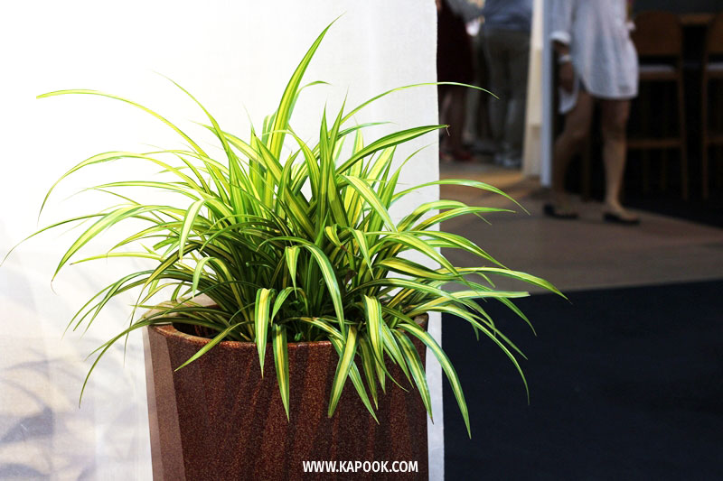 Ray Self Watering Planter and Seating