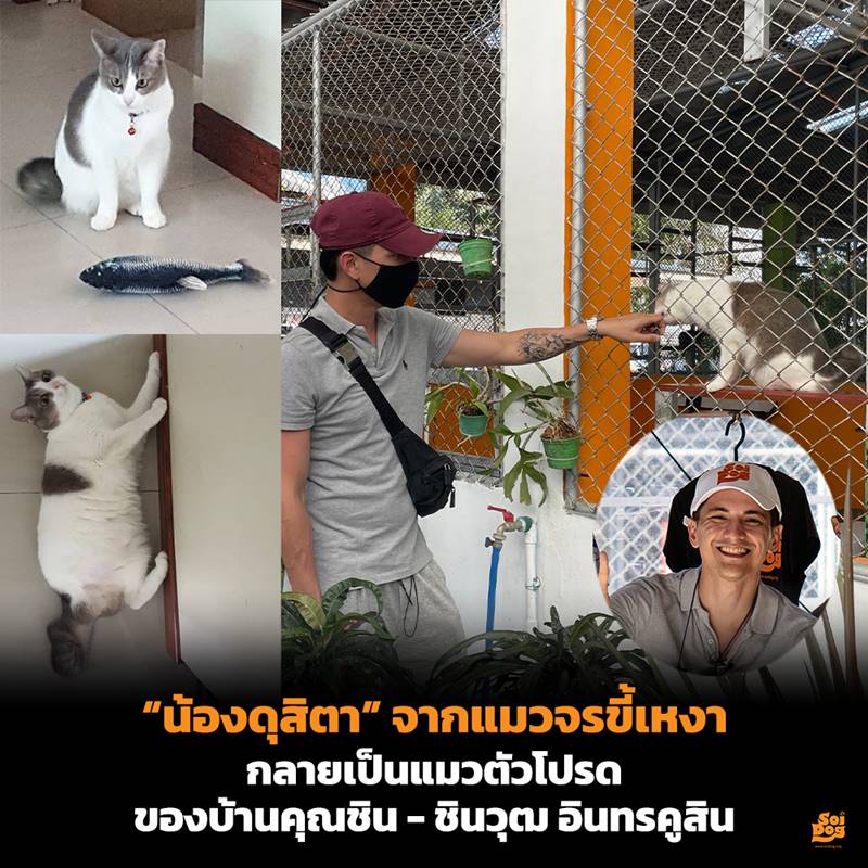 ชิน ชินวุฒ