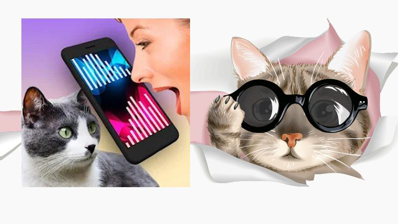 Cat Translator Simulator
