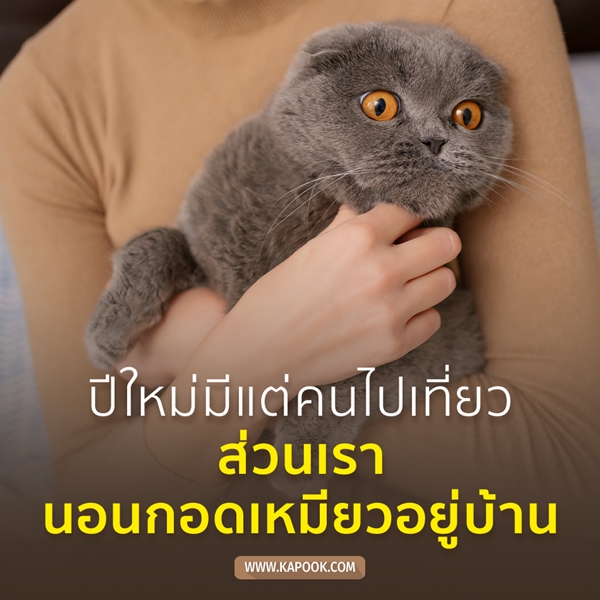 แคปชั่นปีใหม่