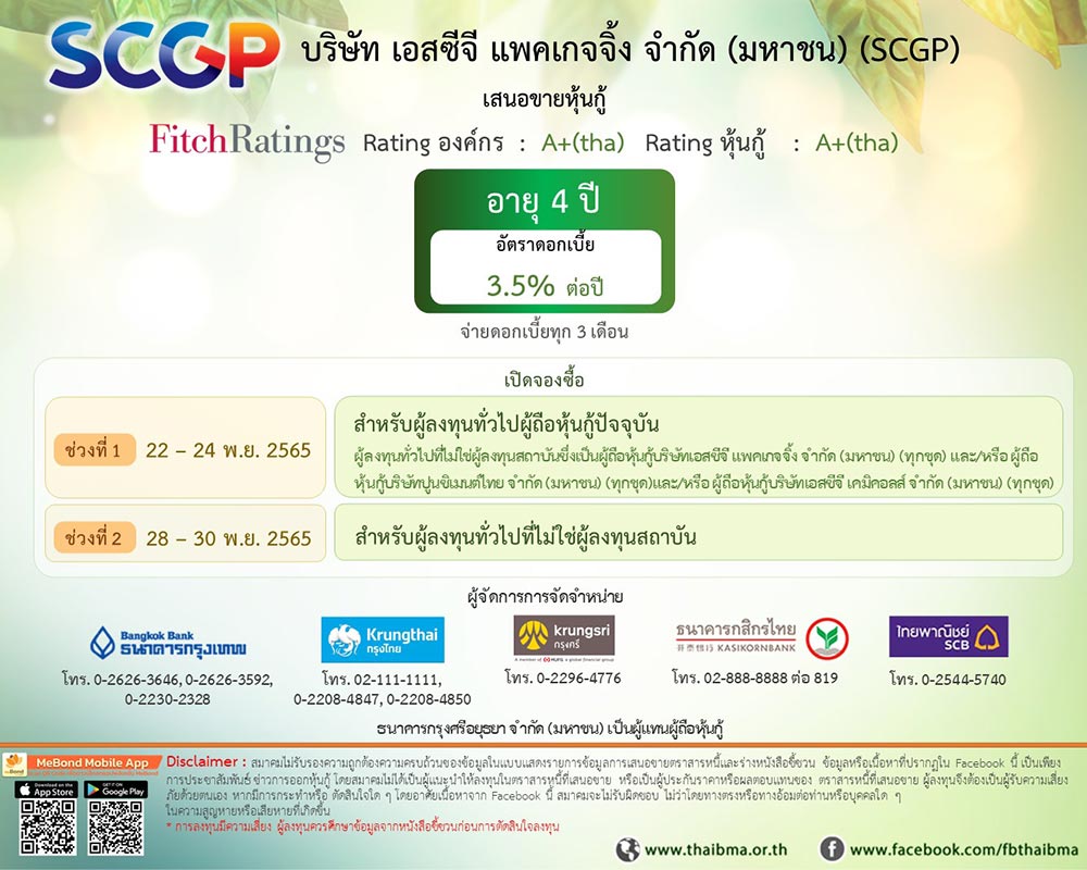 หุ้นกู้