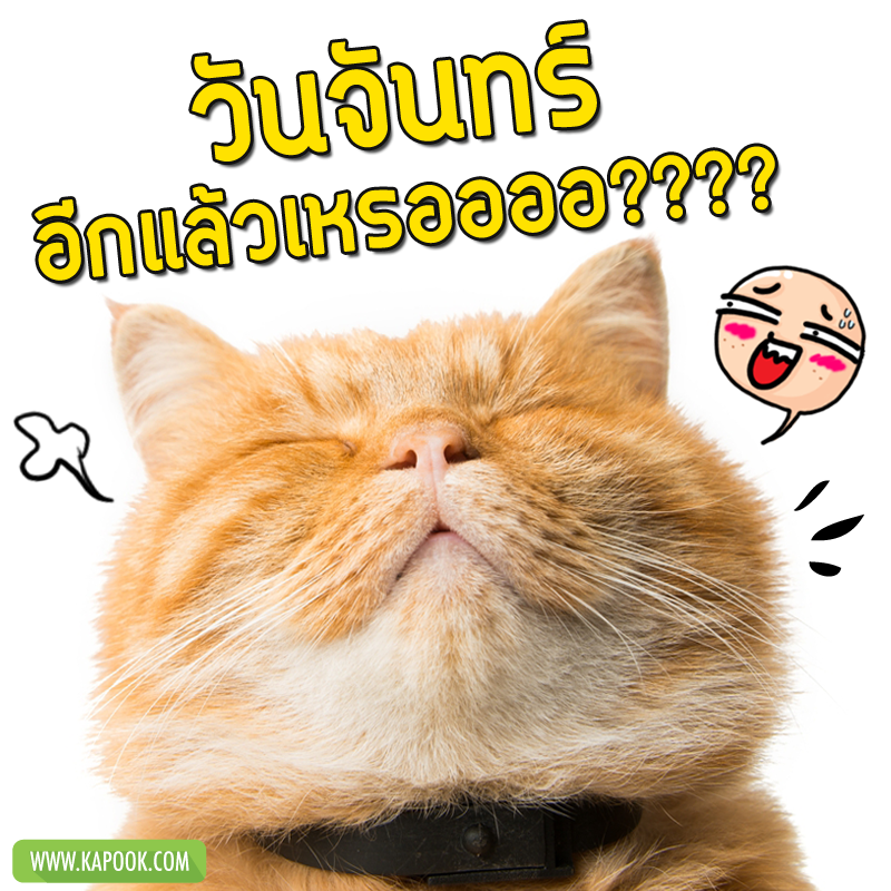 สวัสดีวันจันทร์