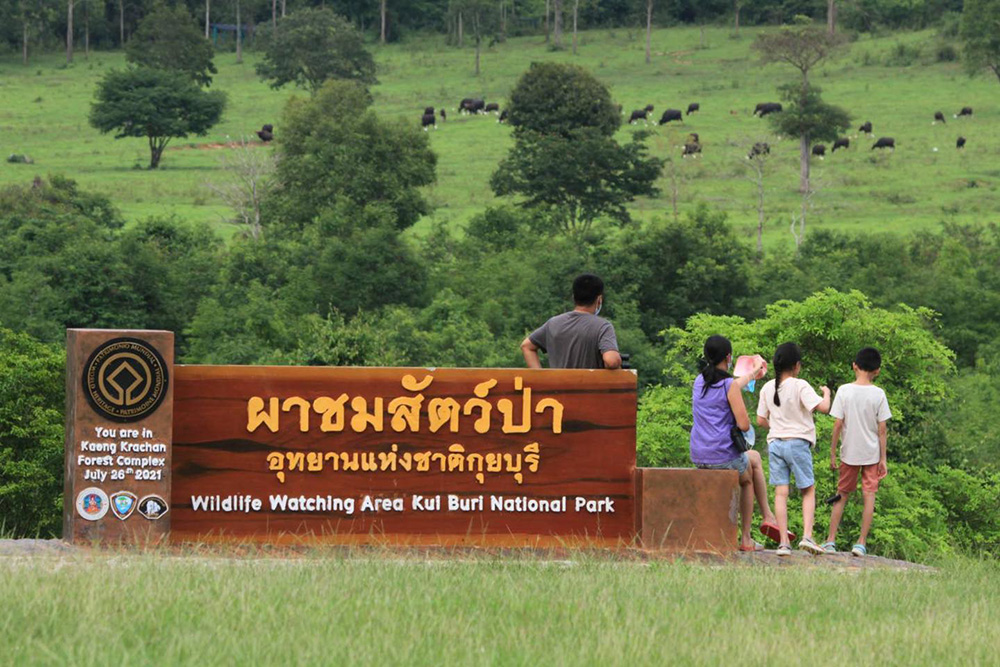 ผาชมสัตว์ป่า อุทยานแห่งชาติกุยบุรี