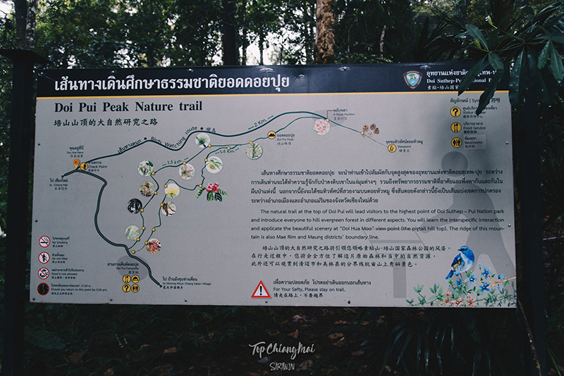 ดอยหัวหมู