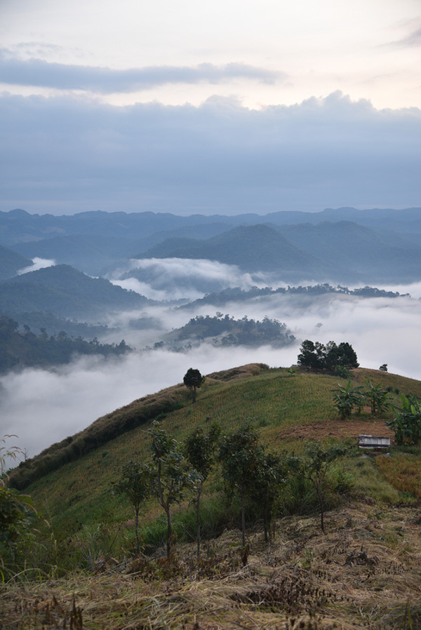 เที่ยวหน้าหนาว