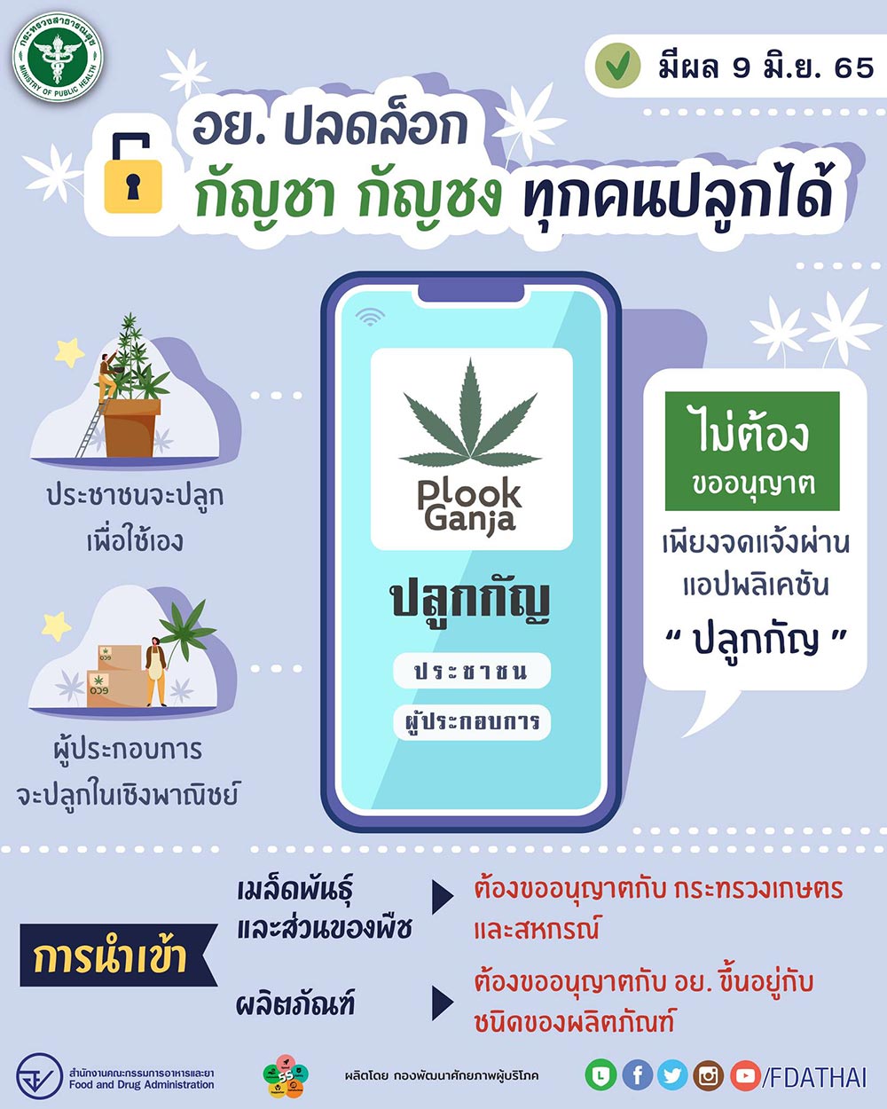 กัญชา