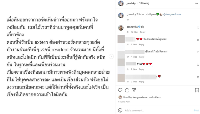 หมอเมล