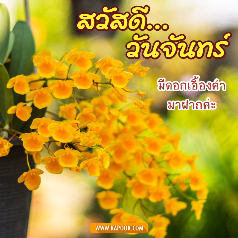 สวัสดีวันจันทร์