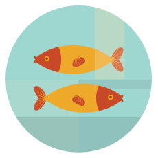 ดาวเกตุย้าย ดูดวง