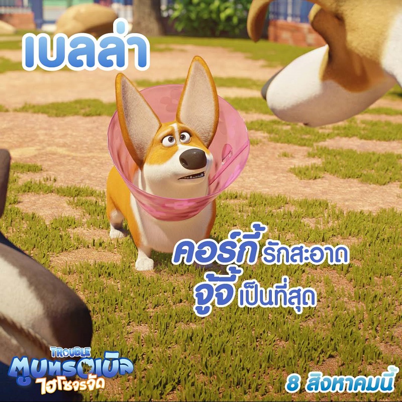 หนังอนิเมชั่น 2019