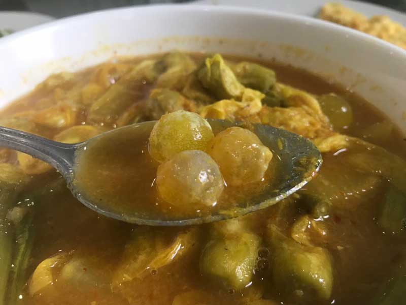 ไข่ปลา