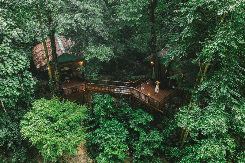 Our Jungle House ที่พักเขาสก จ.สุราษฎร์ธานี