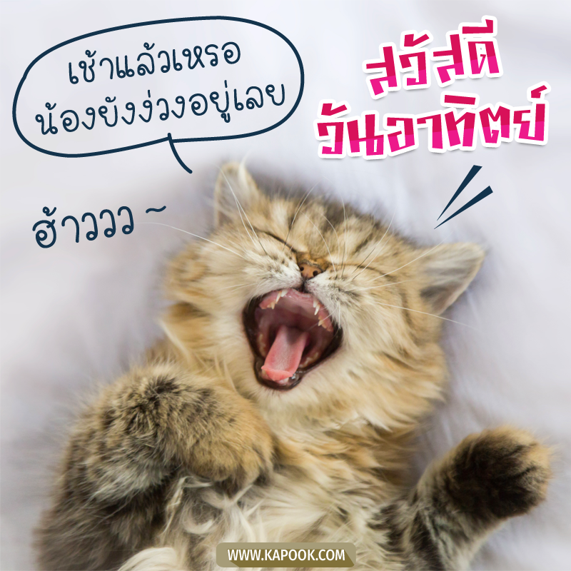 My Image 102