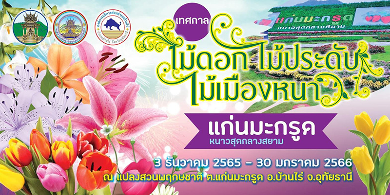 สวนดอกไม้ แก่นมะกรูด