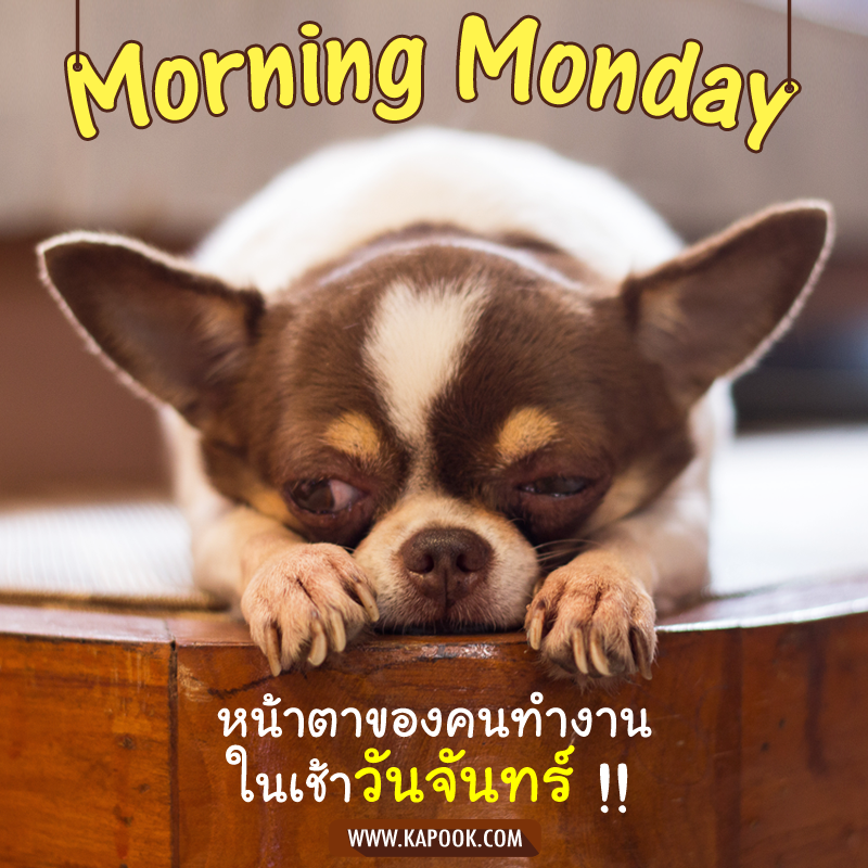 สวัสดีวันจันทร์