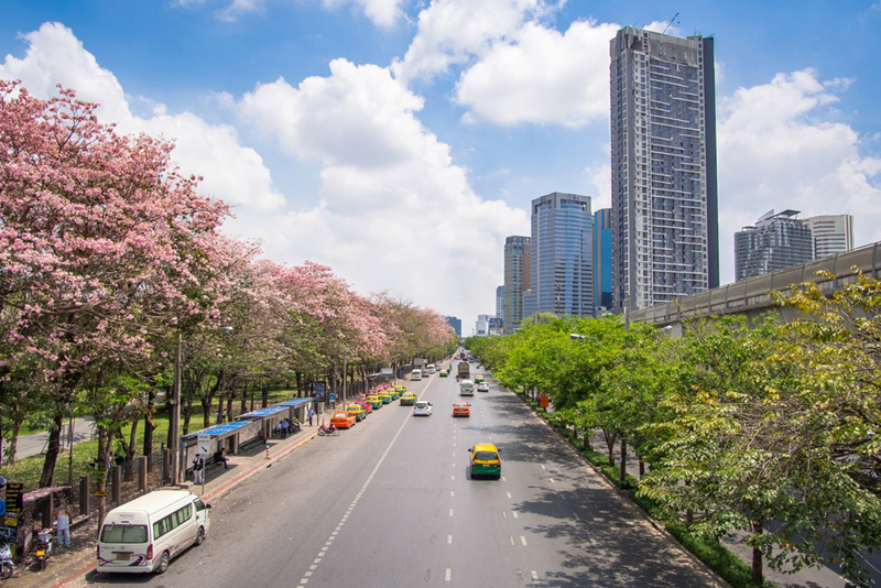 โครงข่ายระบบไฟฟ้าอัจฉริยะ Smart Metro Grid