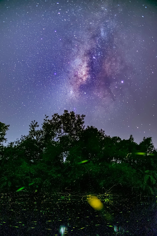 เที่ยวหน้าหนาว