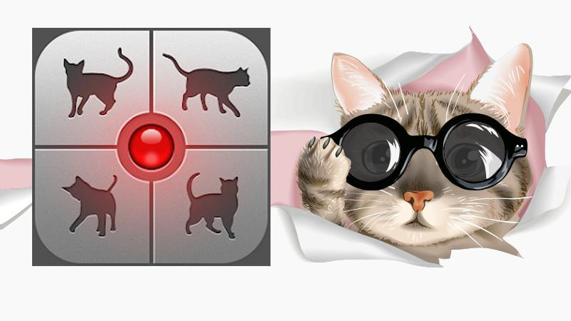 Human-to-Cat