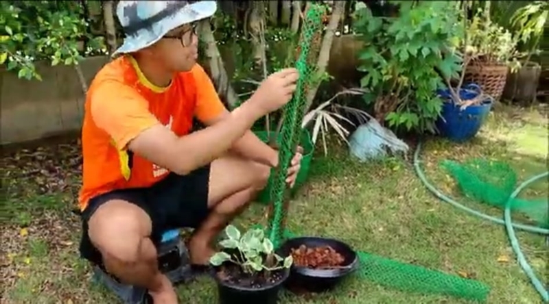 เสาหลักกาบมะพร้าว
