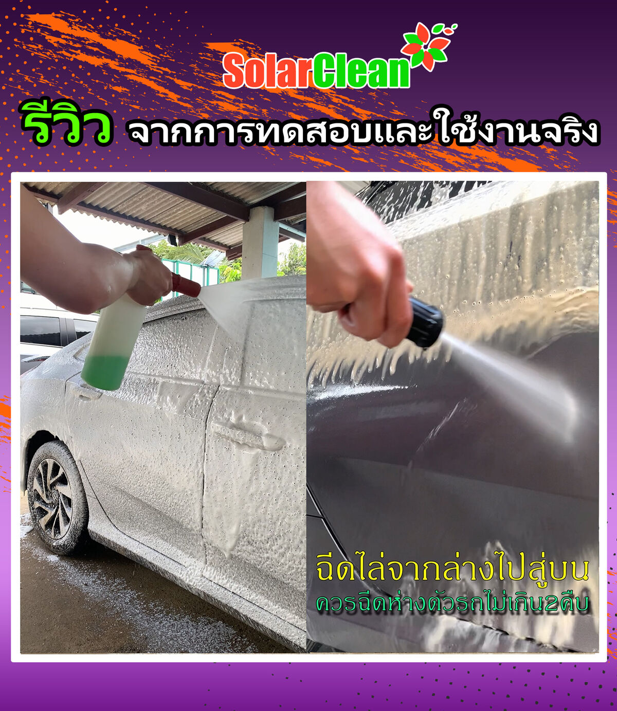 My Image 41